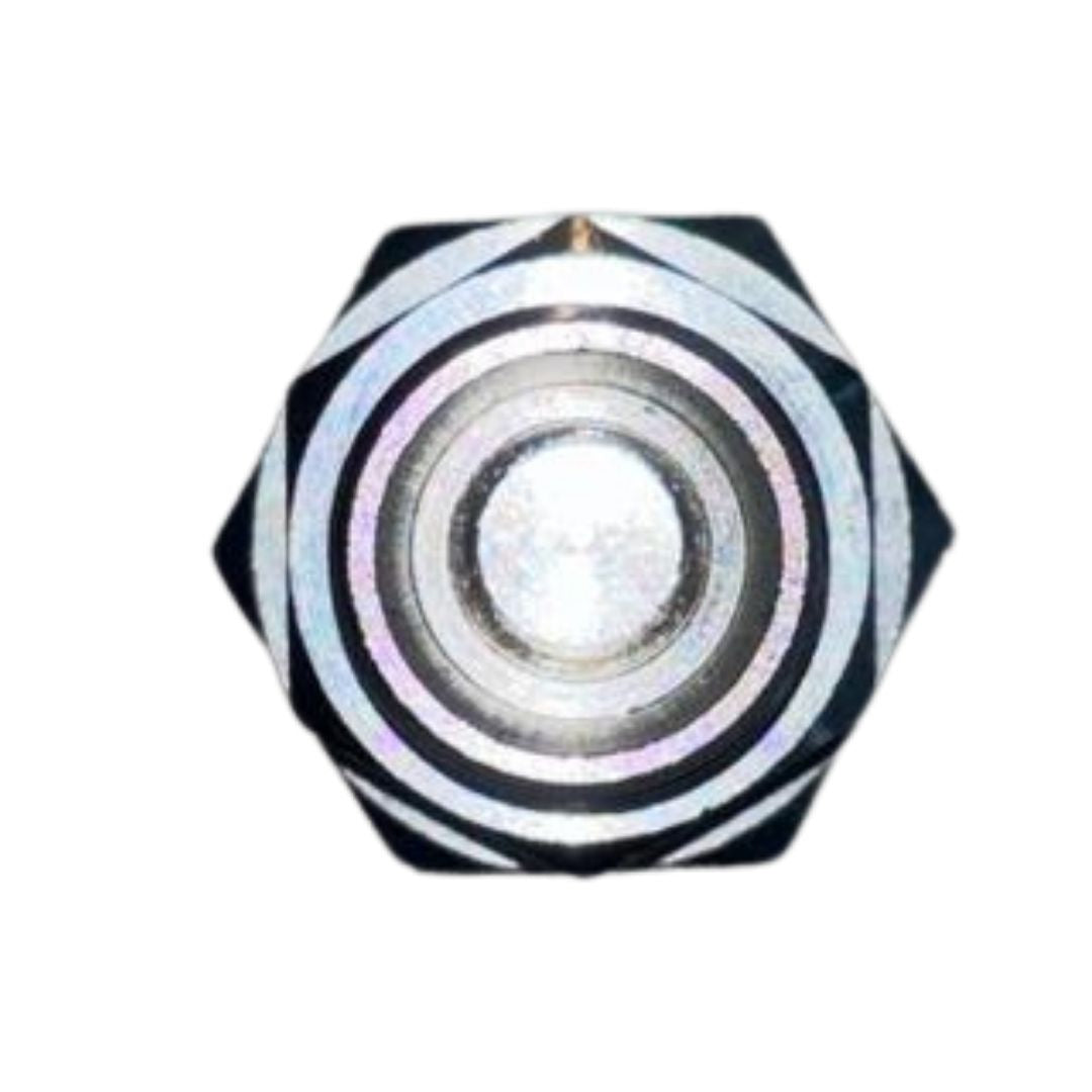 ORIGINAL CHECK VALVE
